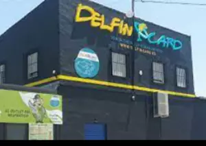 DELFINCAR